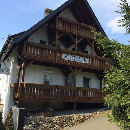 Pension Haus Am Hirschsprung Willingen  Zewnętrze zdjęcie