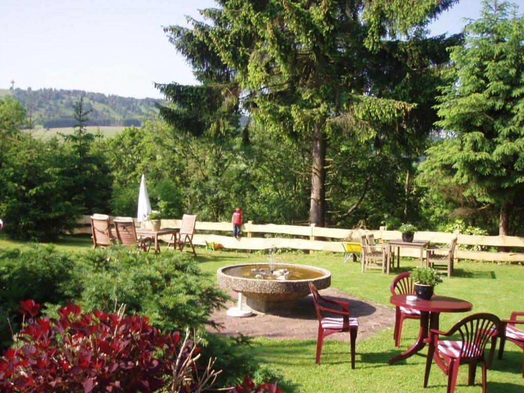 Pension Haus Am Hirschsprung Willingen  Zewnętrze zdjęcie
