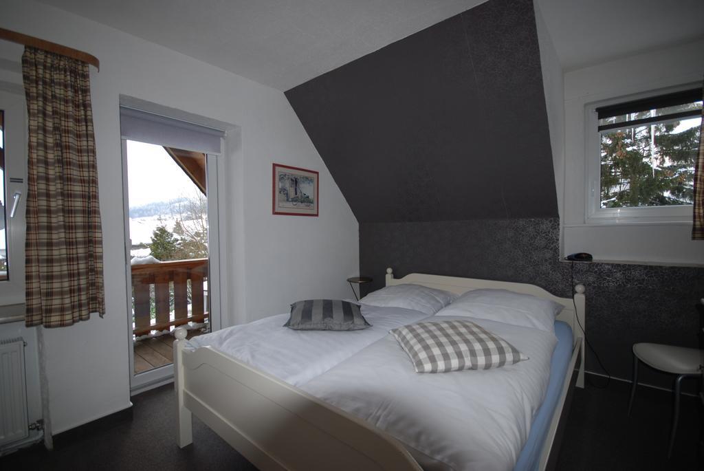 Pension Haus Am Hirschsprung Willingen  Zewnętrze zdjęcie
