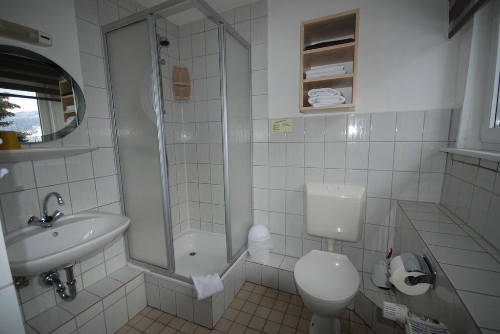 Pension Haus Am Hirschsprung Willingen  Zewnętrze zdjęcie